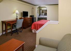 Americas Best Value Inn & Suites Waller/Prairie View 4