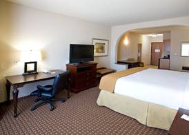 Holiday Inn Express & Suites KINGSVILLE by IHG 4