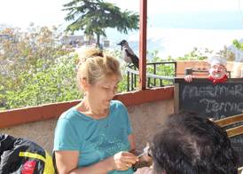 Ararat Hotel 5