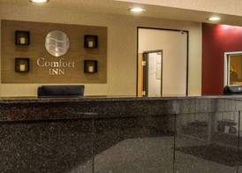 Comfort Inn Birch Run - Frankenmuth 3