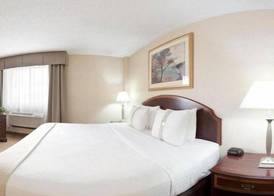 Holiday Inn & Suites CHICAGO-CAROL STREAM (WHEATON) by IHG 2