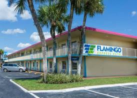 Flamingo Express Hotel 5