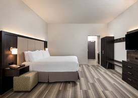 Holiday Inn Express & Suites LAKELAND SOUTH by IHG 3