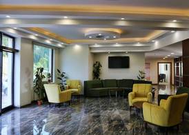 Black Forest Hotel 3