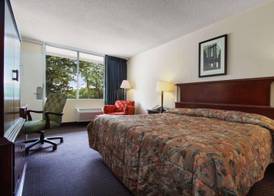 Super 8 by Wyndham Dover 4