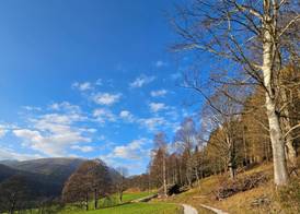 Landhotel Lacknerhof 3