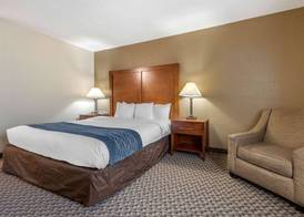 Comfort Inn Indianapolis South 5