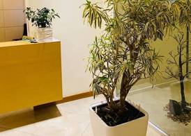 Grand White City Hotel 4