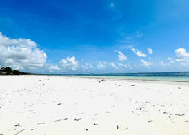 Palumbo Mnemba View Resort 3