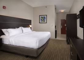 Holiday Inn Express & Suites INDEPENDENCE-KANSAS CITY by IHG 4