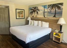 Days Inn by Wyndham St. Petersburg Central 3