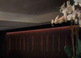 The Delaney Hotel 3