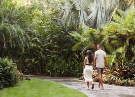 Catamaran Resort Hotel and Spa 4