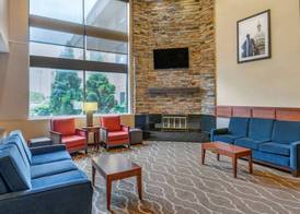 Comfort Inn Lansing West 3