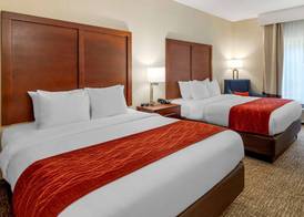 Comfort Inn & Suites Canton Riverstone Area 5