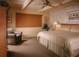 Desert Isle of Palm Springs 4
