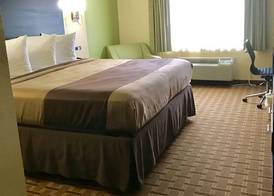 Quality Inn & Suites Benton Harbor - St Joseph 5