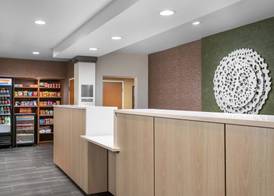 Fairfield Inn & Suites by Marriott Chattanooga South East Ridge 4