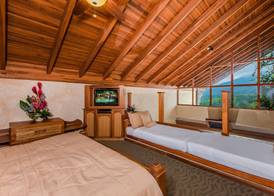 The Springs Resort & Spa at Arenal 4