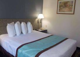 MJ INN and SUITES 2