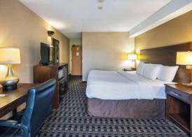 Comfort Inn 5