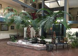 Royal Suites Baton Rouge near LSU and Airport 2