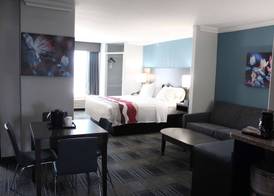 Best Western Medical Center North Inn & Suites Near Six Flags 4