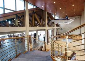 Cove Resort Palau 4