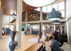 Cove Resort Palau 3