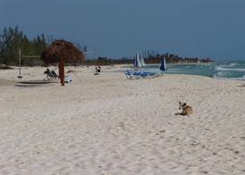 Cocos Cabañas Playa del Carmen Adults Only 3