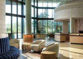 Sheraton Tampa Brandon Hotel 5