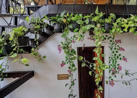 Brij Paraiso Saligao, Goa - An Indo-Portuguese Villa 5