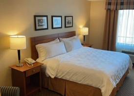Holiday Inn BATTLE CREEK by IHG 3