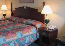 Norma Dan Motel - Near Dolly Parton's Stampede Dinner Attraction 3