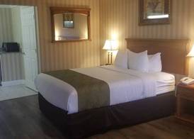 Quality Inn & Suites Anaheim Maingate 4