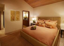 Puunoa - CoralTree Residence Collection 3