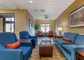 Comfort Suites Savannah North 2