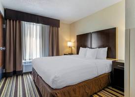 Comfort Inn & Suites Triadelphia - Wheeling 4