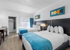 OASIS BAY SUITES, Tampa, Busch Gardens, USF 3