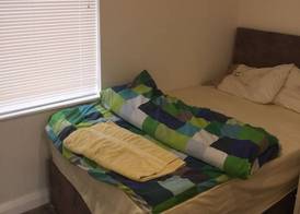Worcester Town Centre Home & Garden 4