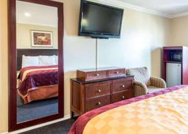 Queencity Inn 5