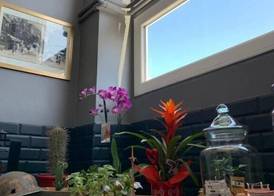 Hotel Le Cosy Riva Bella 4