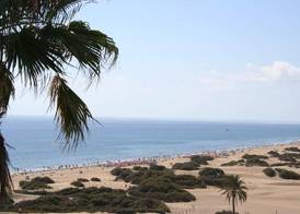 Tabaibas 2