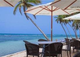 Tribe Resorts 5