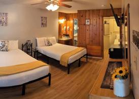 Trees Motel 5