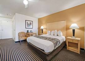 Best Western Plus Executive Inn & Suites 5