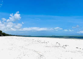 Palumbo Mnemba View Resort 4