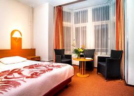 Owl Hotel 5
