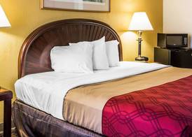 Rodeway Inn & Suites Carrollton 5