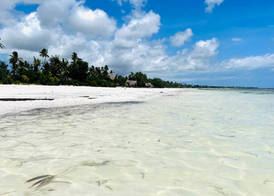 Palumbo Mnemba View Resort 2